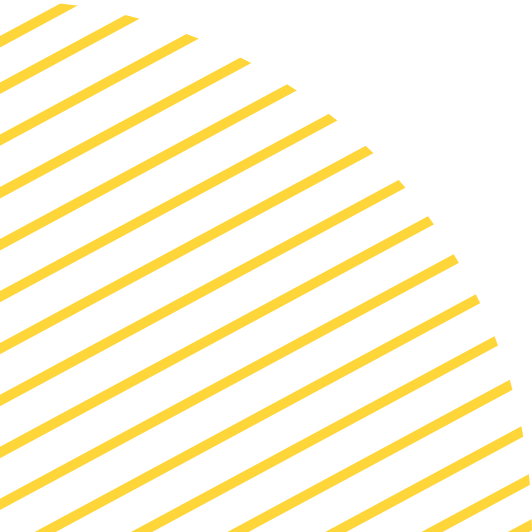 yellow circle yellow circle